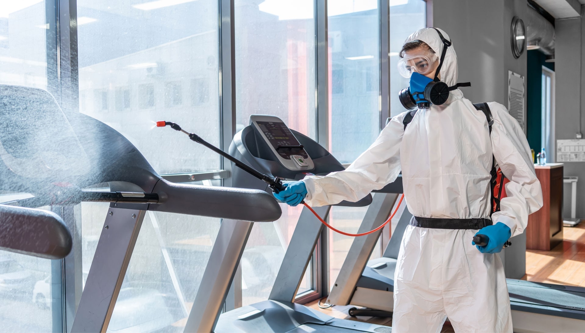 Commercial Mold Removal Services in Jacksonville